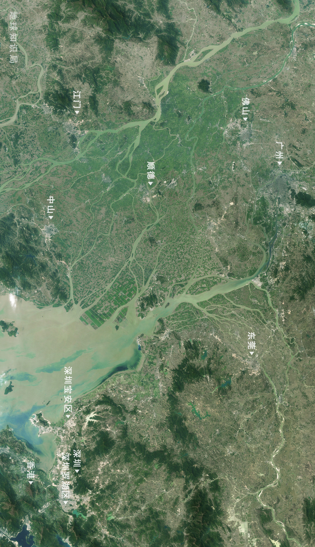 深圳知识局,深圳的中心是哪个区