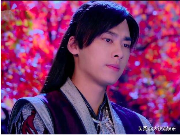 古装造型最丑的5位男星,那些最丑的古装男演员