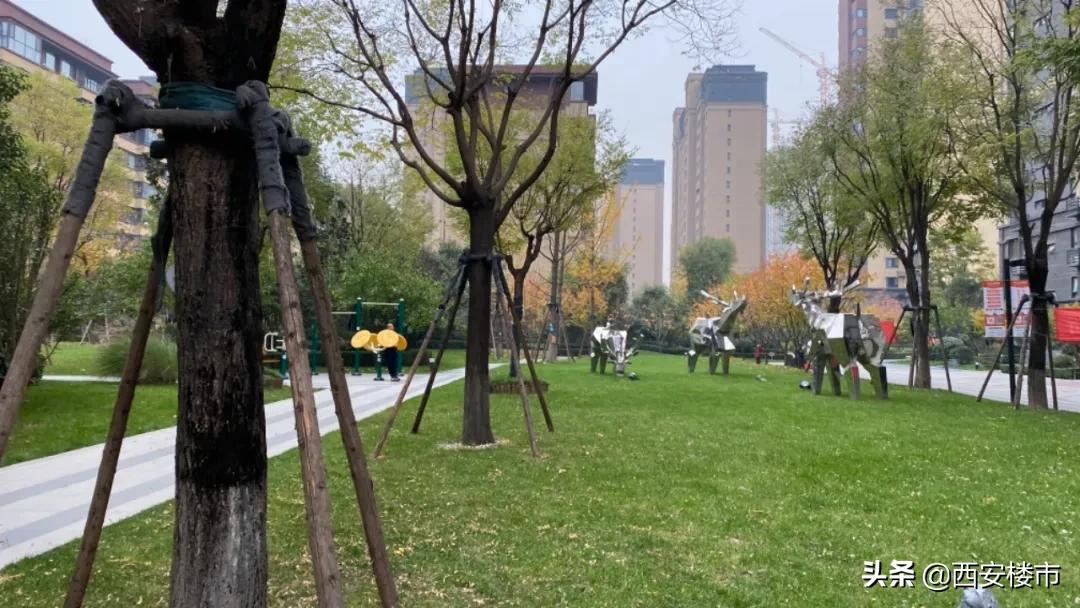 实地探房万科城市之光,万科城市之光实地探访