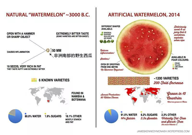 各种蔬菜水果祖先的样子,各种蔬菜祖先