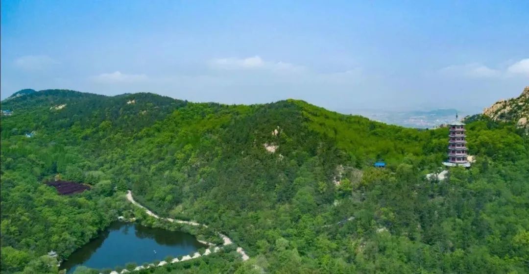 种草一个被遗忘的小岛，背山靠海，拥有山东最美的“童话屋”，美到窒息！