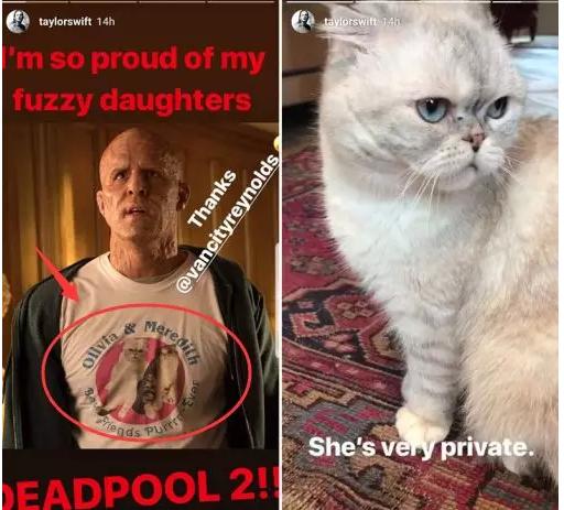 「JALOUSE」有一说一，我确实馋他们的身子