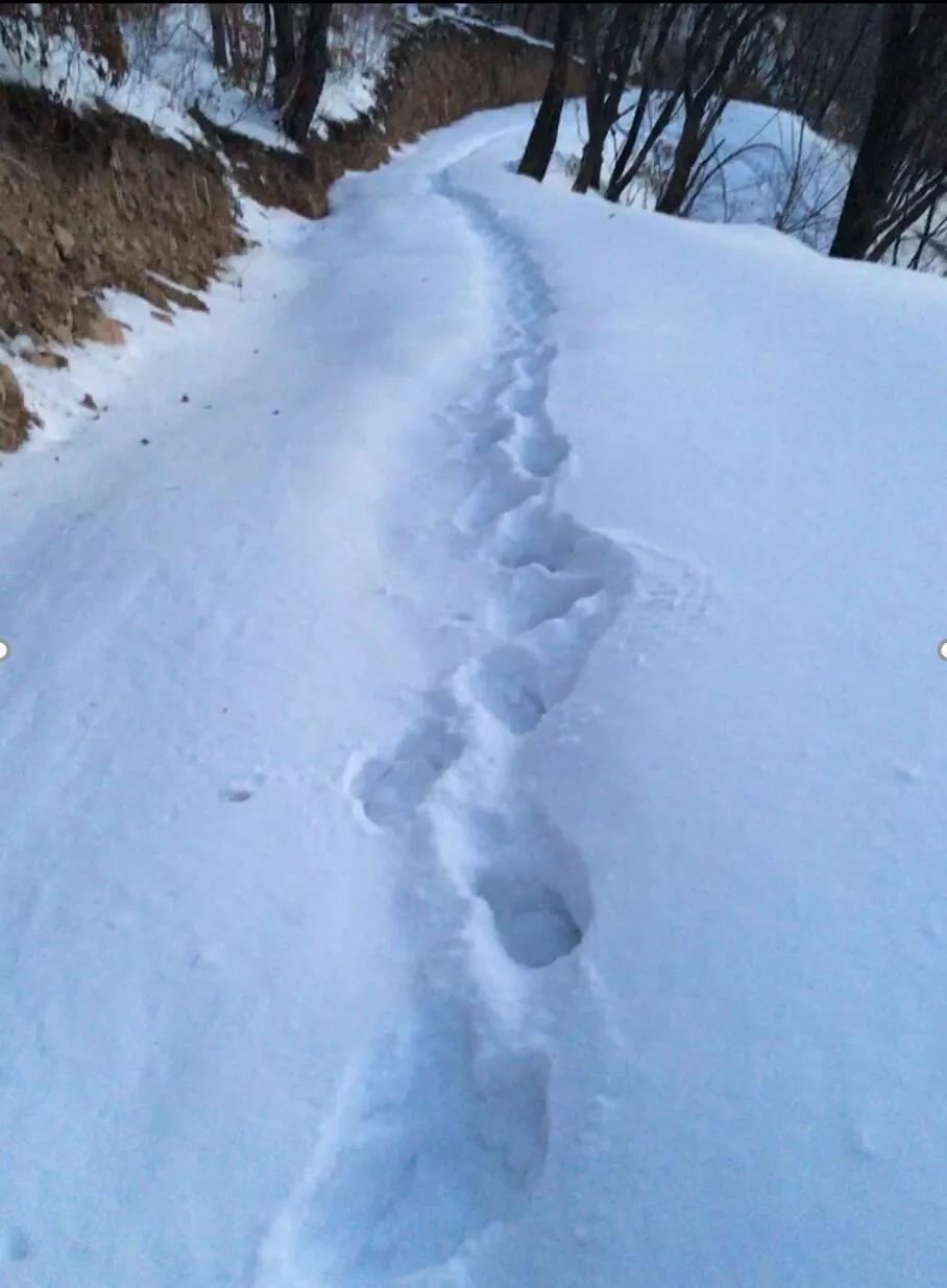 冰雪摄影实战推荐,雪地摄影前期参数
