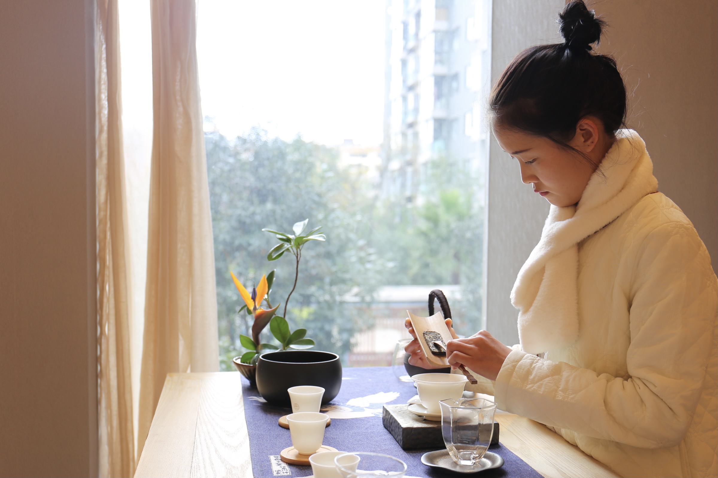 茶与佳人,茶与美人诗词