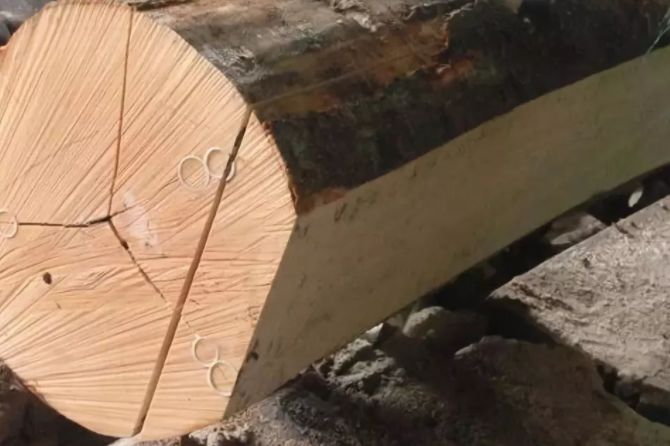 关于柴的来历,几种常用木材的区别