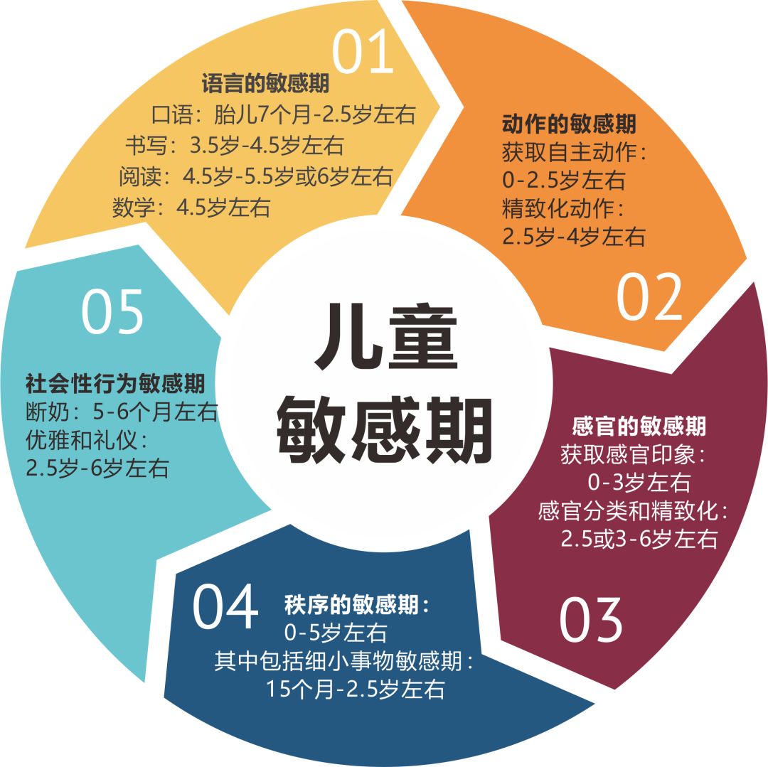 错过敏感期怎么培养自主吃饭,敏感期怎么讲解