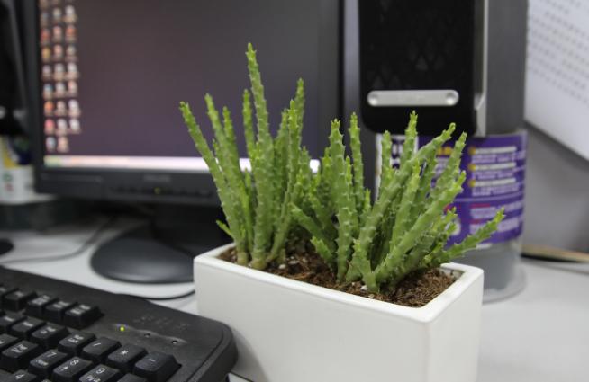 妆容时间久了会暗黄,精致妆容黄黑皮