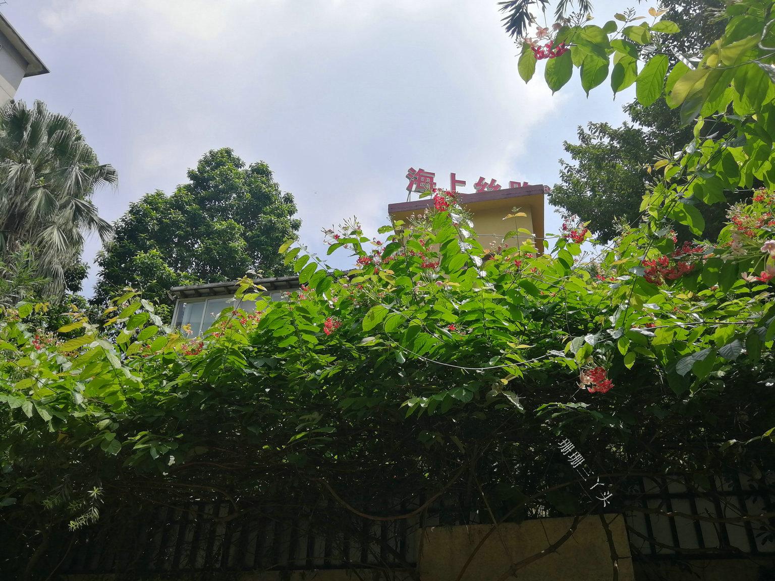 中国华侨第一村,中国华侨村图片