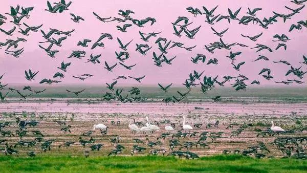 身份证410、411、412开头的，去了郑州就等于去了全世界