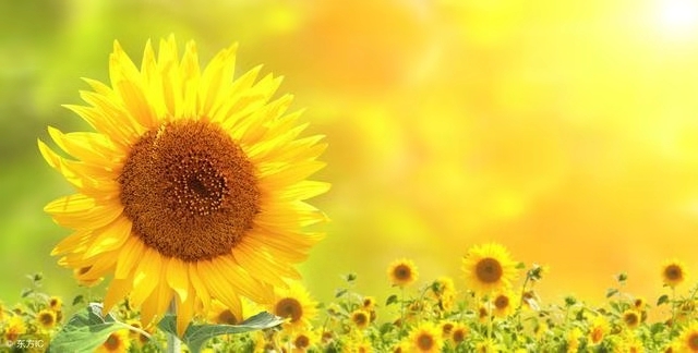 2018民谣歌曲大全100首,2018经典民谣推荐