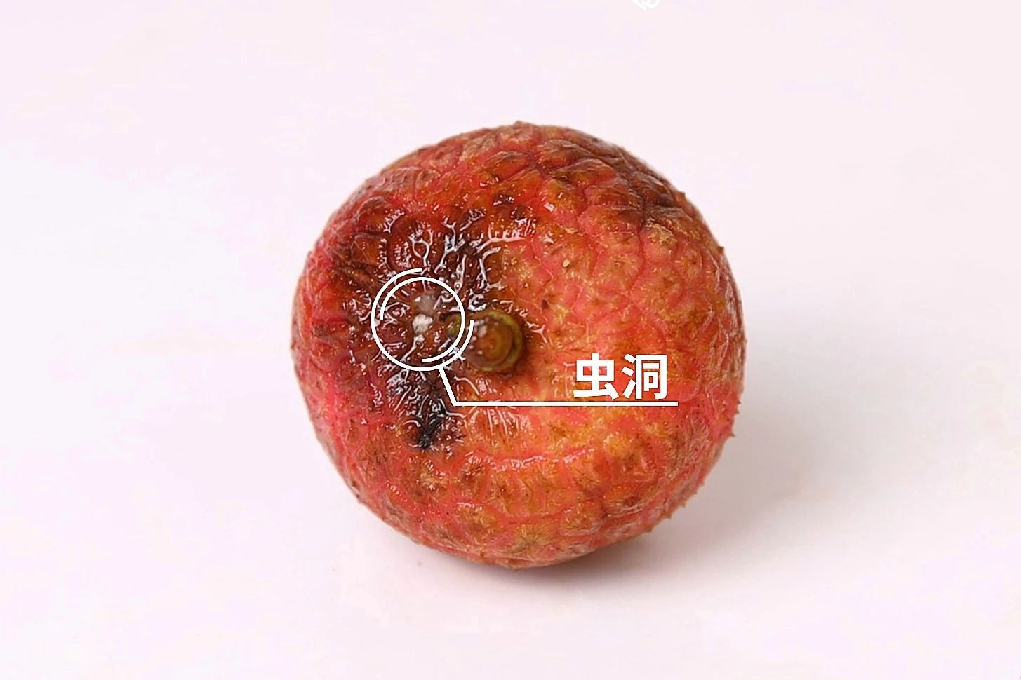 关于荔枝这3个问题你必须知道,10个关于水果的小知识