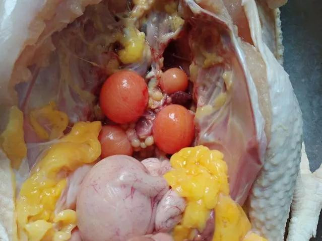 杀鸡肚子里面那块黄油有什么好处,杀鸡肚子的黄油怎么吃