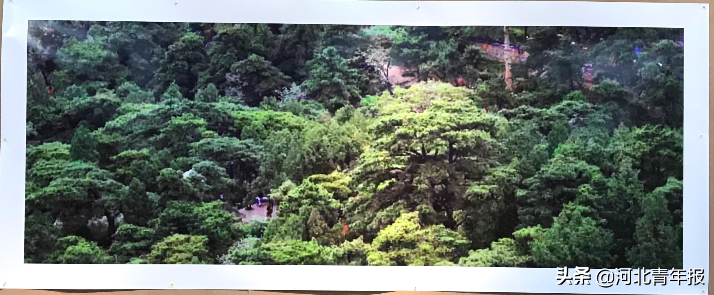 <html>
<head><title>502BadGateway</title></head>
<body>
<center><h1>502BadGateway</h1></center>
<hr><center>nginx</center>
</body>
</html>
<!--apaddingtodisableMSIEandChromefriendlyerrorpage-->
<!--apaddingtodisableMSIEandChromefriendlyerrorpage-->
<!--apaddingtodisableMSIEandChromefriendlyerrorpage-->
<!--apaddingtodisableMSIEandChromefriendlyerrorpage-->
<!--apaddingtodisableMSIEandChromefriendlyerrorpage-->
<!--apaddingtodisableMSIEandChromefriendlyerrorpage-->
