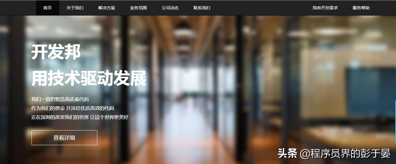 适合初级程序员接私活的平台,国外程序员私活平台