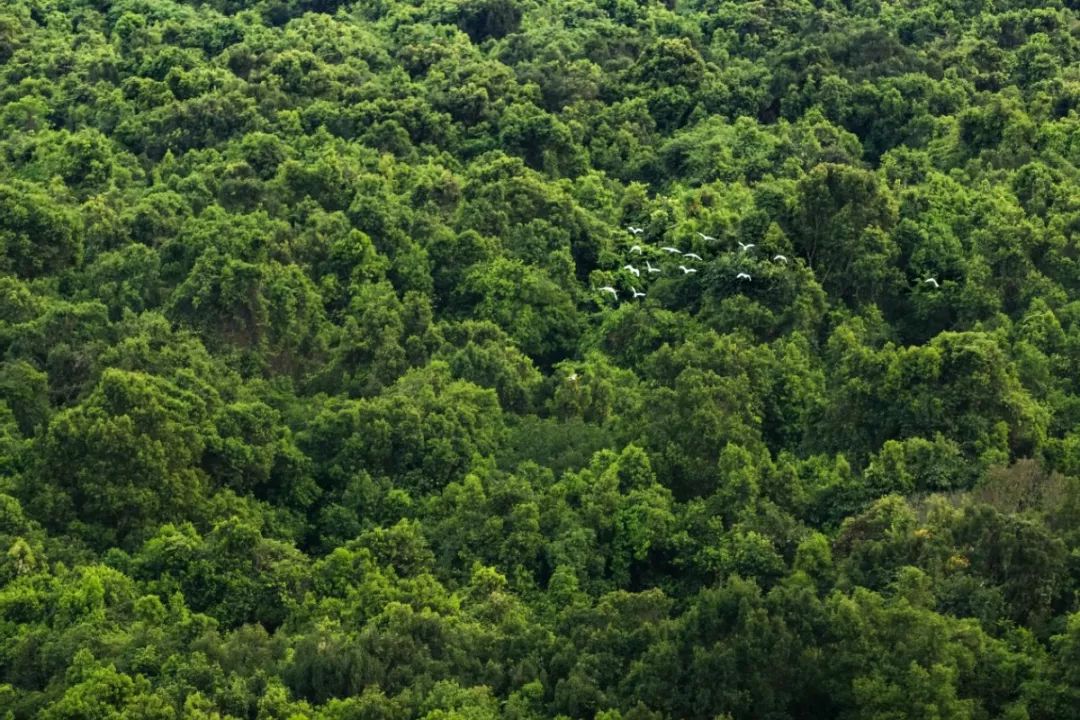 华润石梅湾四期工程,华润石梅湾一期