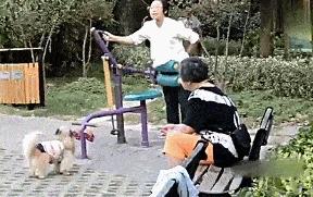 狂野式锻炼身体,健身健体百病消