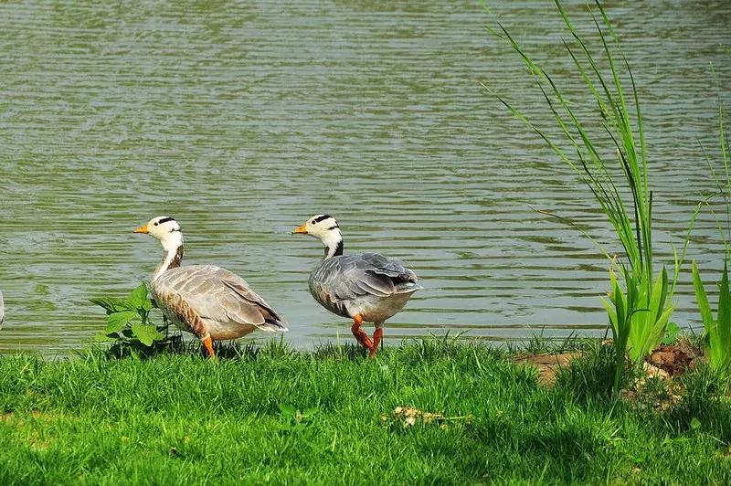 央视新闻直播西安夜景,央视直播西安奥体中心