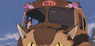 龙猫最久能活多久,龙猫30秒