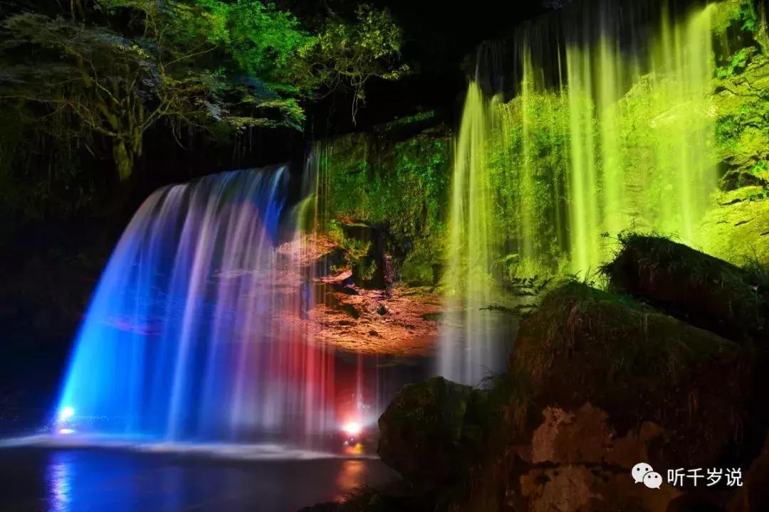 日本东京熊本熊,日本熊本游