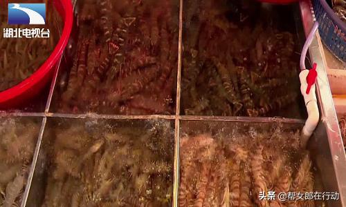 手被虾刺了一下竟然要截肢,被虾扎破手需要截肢才能保命