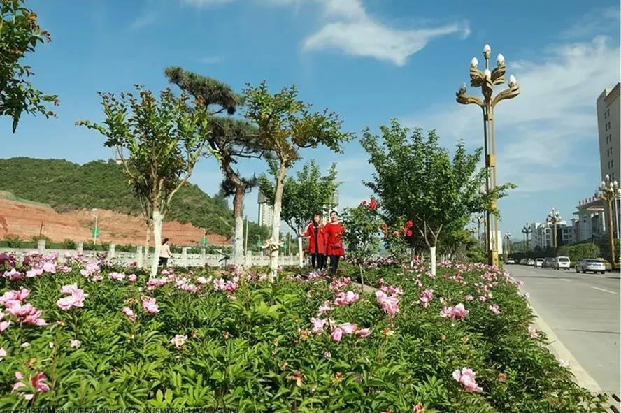 陇南市网红打卡地标,忻州网红打卡新地标