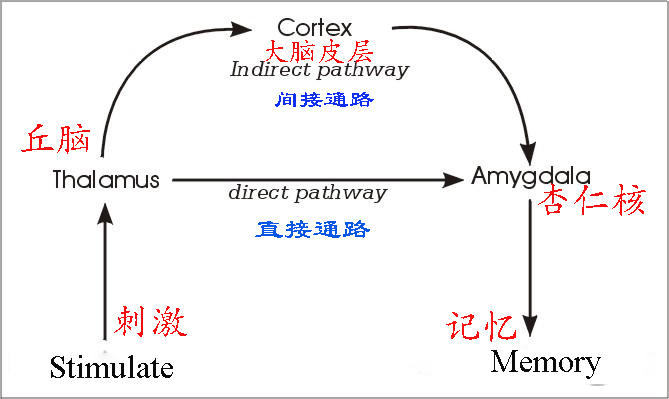 为什么人们会得恐鸡症,怕鸡恐惧症怎么治