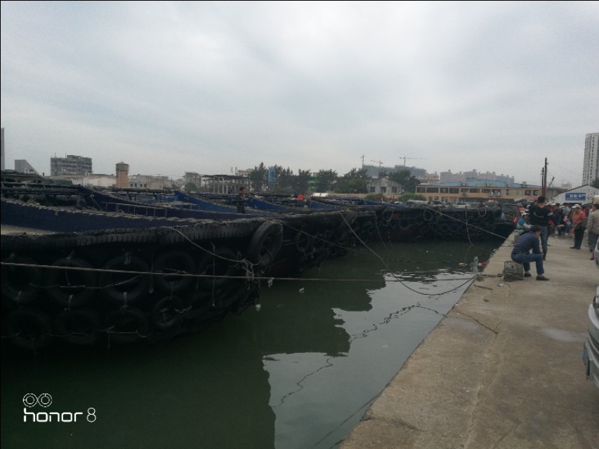 带老妈游海南,带老妈三亚游记