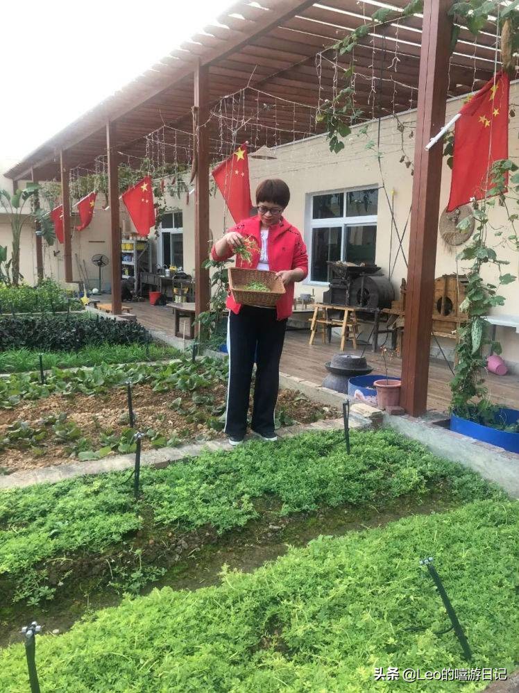 让孩子体验农耕生活的地方,儿童农耕生活体验