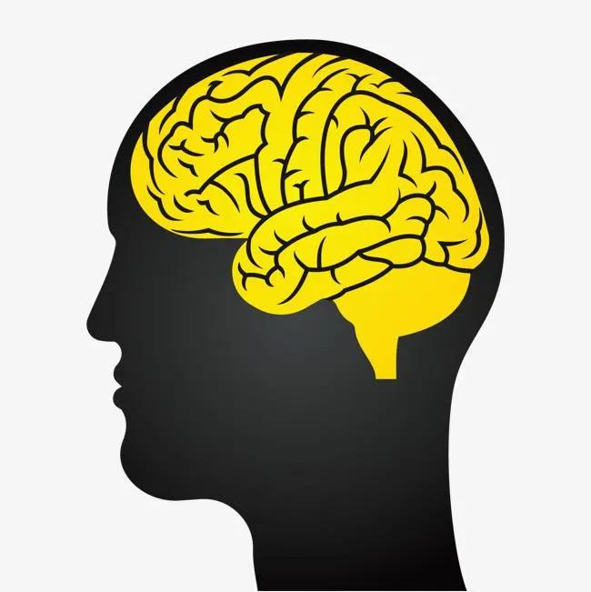 什么是癫痫神经调控治疗,神经调控技术治癫痫