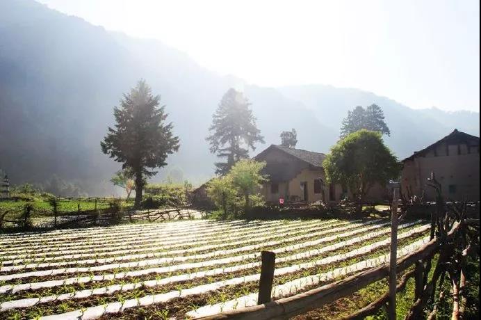 唐诗中的山水田园诗句,唐诗宋词中的田园生活