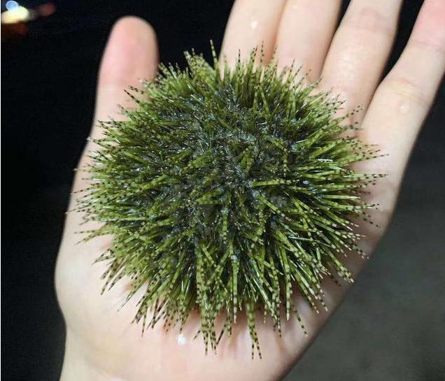 深圳彩色沙滩网红打卡地,深圳海边十大网红打卡圣地