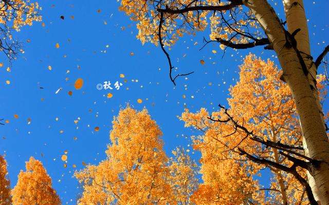 10首秋分诗词窥见古人的秋分时节,最经典的十首秋分诗词大全