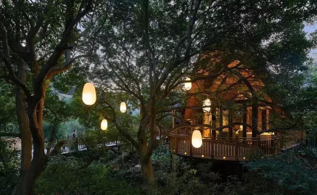 angelababy来呼市,angelababy溜娃