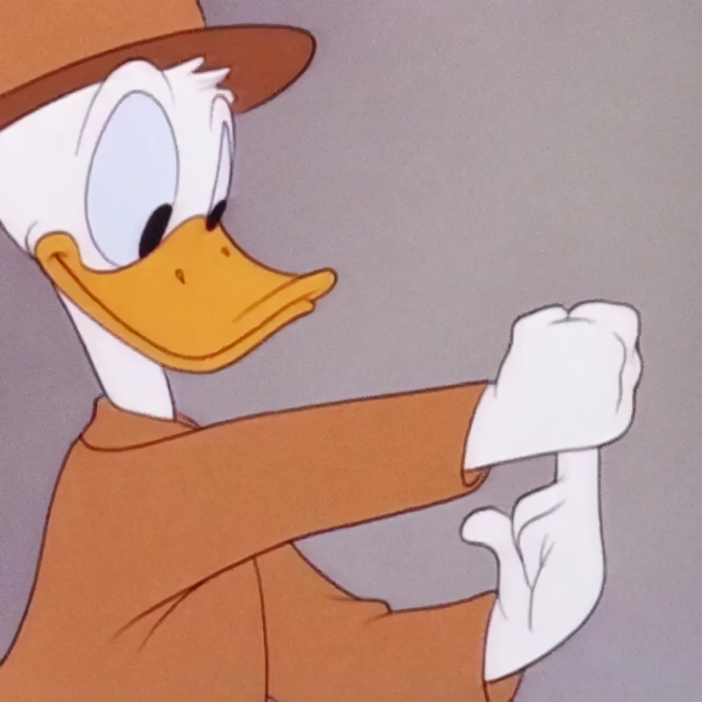 适合中年女人高雅的微信头像,100张珍藏已久微信头像