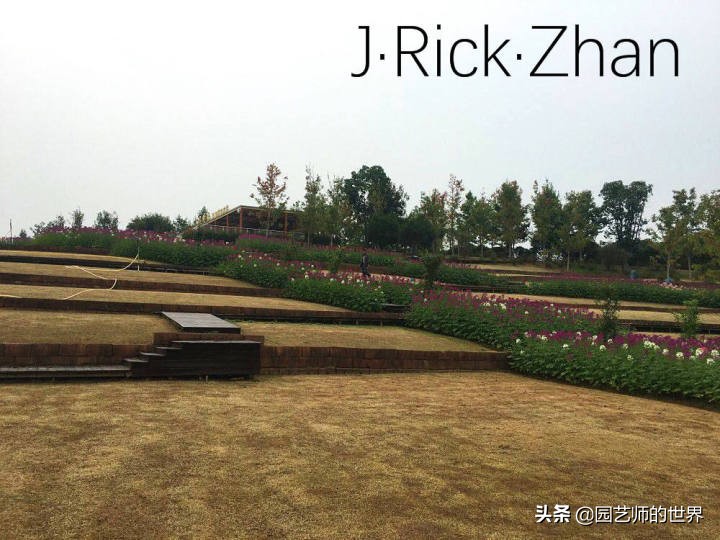 果岭草坪的种植养护方法及技巧,怎么种植一个可以躺的草坪