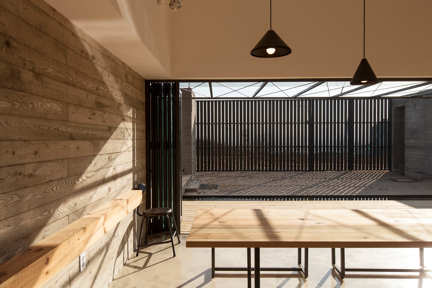 韩国蒲公英,韩国野生蒲公英的种植