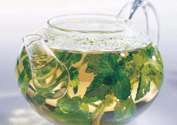 什么薄荷适合盆栽养殖呢,家养薄荷养殖方法