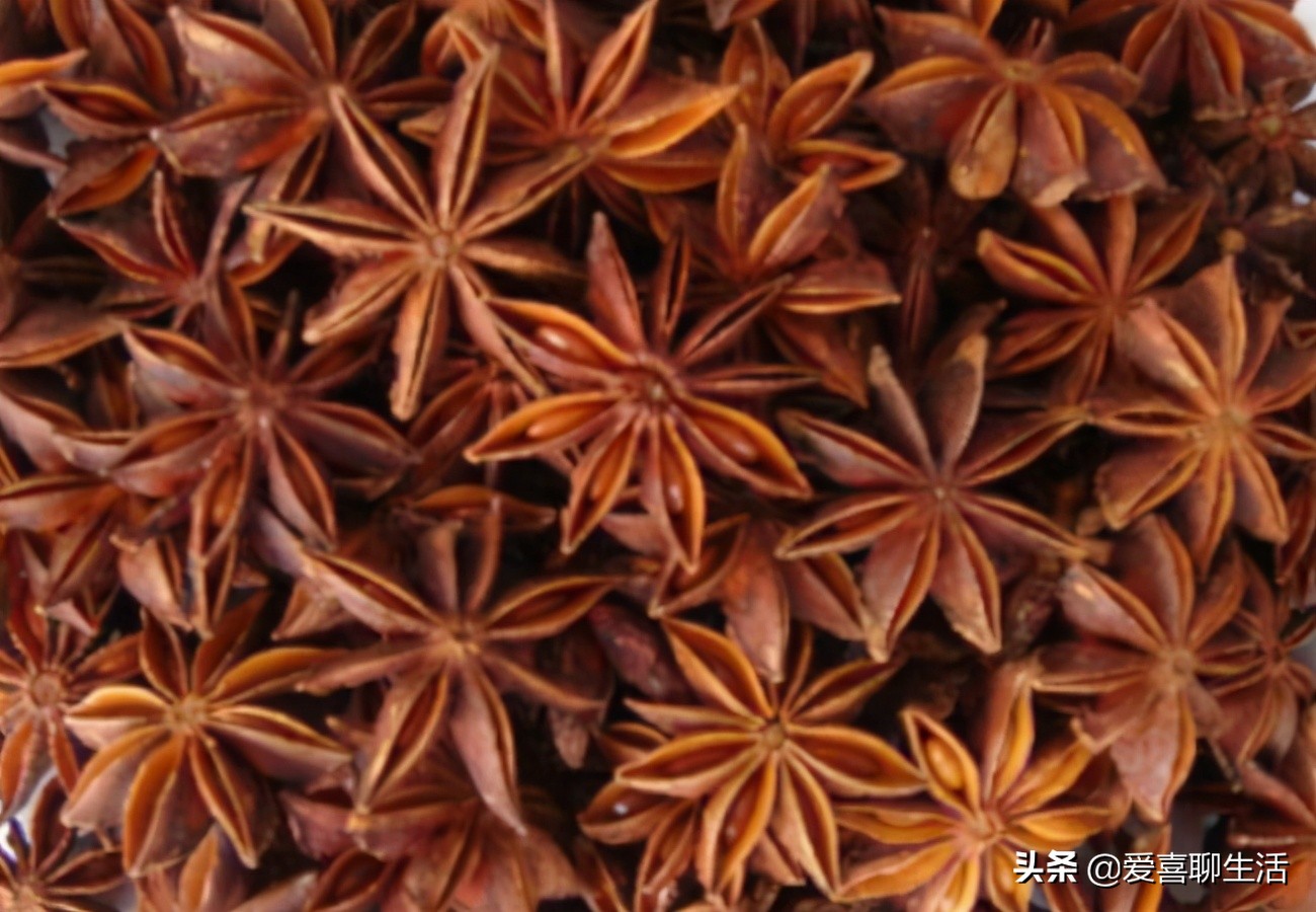 假八角和真的八角有什么区别,八角有毒的鉴别方法