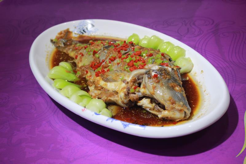 高红岩教授,大师央视采访