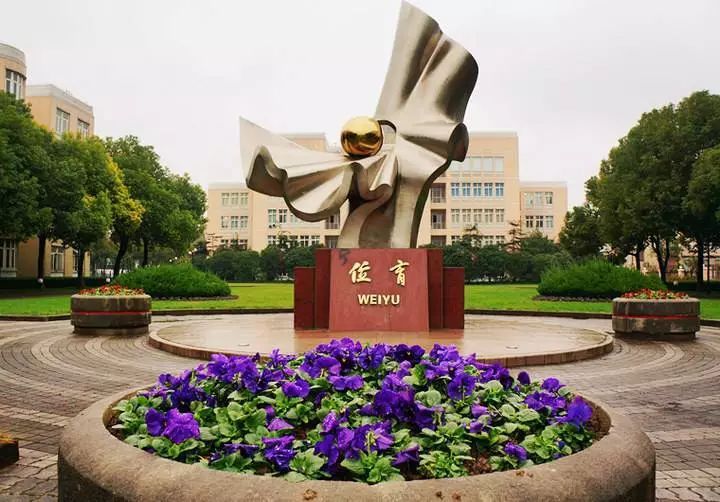 民办位育和西南位育哪个好,位育中学和西南位育中学什么关系