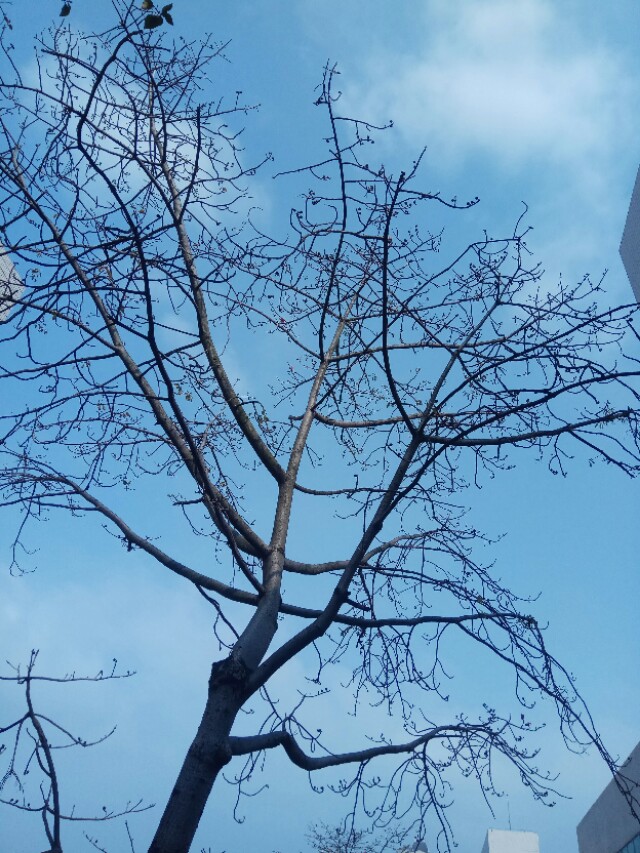 岭南的回南天,岭南雾天回南天