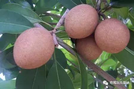 西双版纳这些奇特的水果，作为吃货的你都吃过哪些