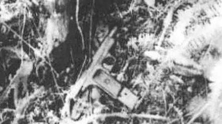 “东北二王”覆灭记：兄弟二人全国流窜，残害20余人