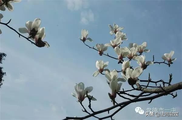 常德十大热议新闻,常德最新新闻热点事件