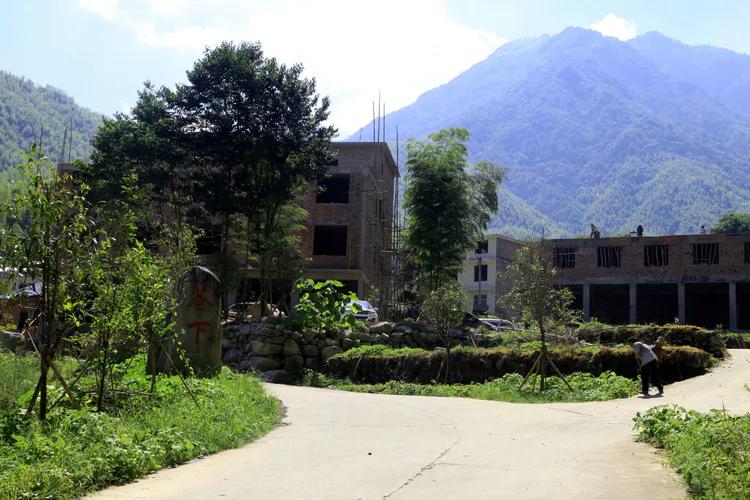 （31）美丽的龙山村