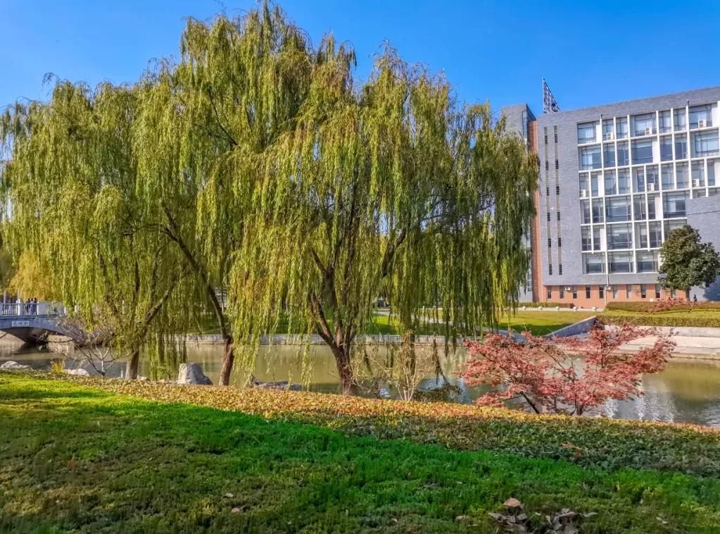 江苏省33所高校排名,江苏省300分大专院校