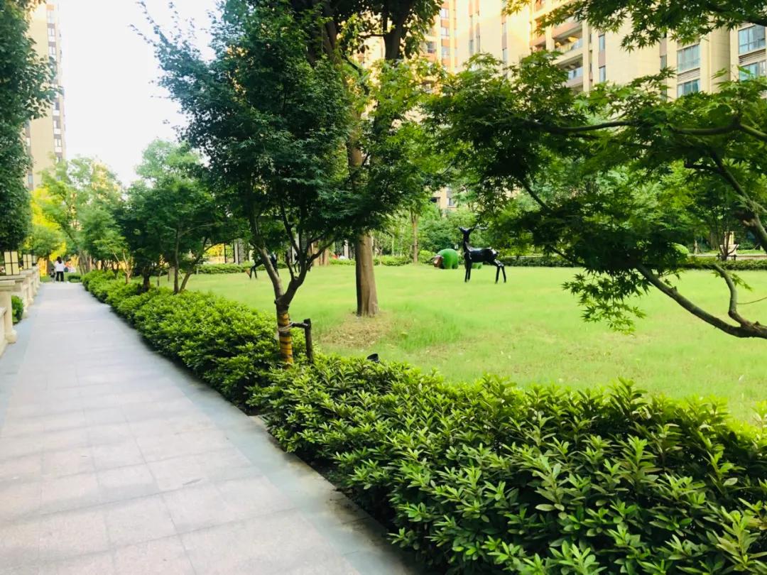 1天谈崩4套！没有次新房的三墩，与三墩北差了不止一点