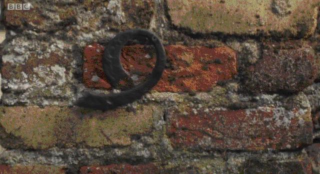 9号秘事看点,9号秘事最吓人的一集