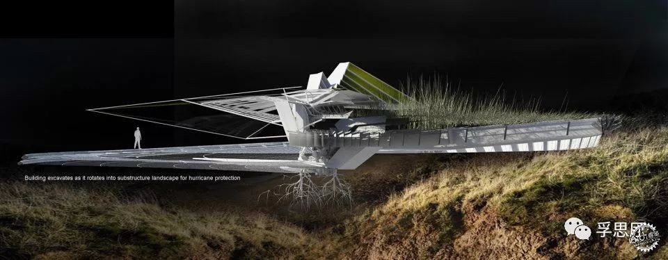 飓风住宅，美国路易斯安那/MargotKrasojevićArchitects