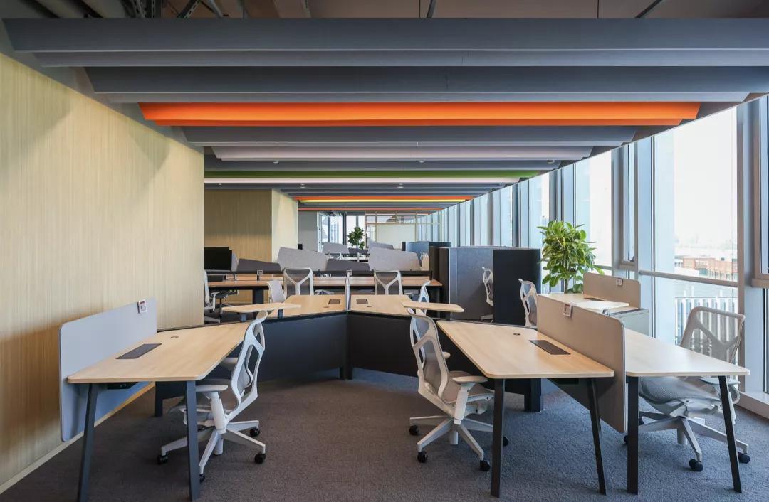 探店揭秘麦当劳,麦当劳探秘